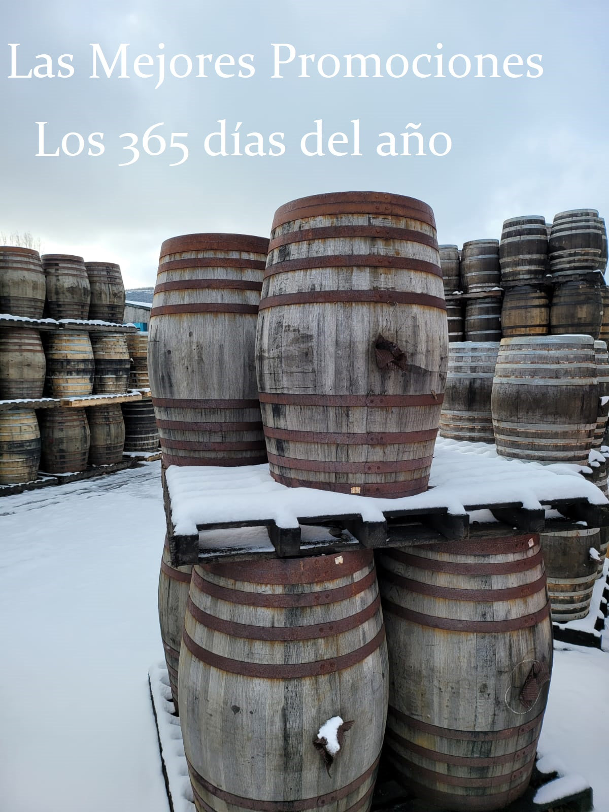 Promociones