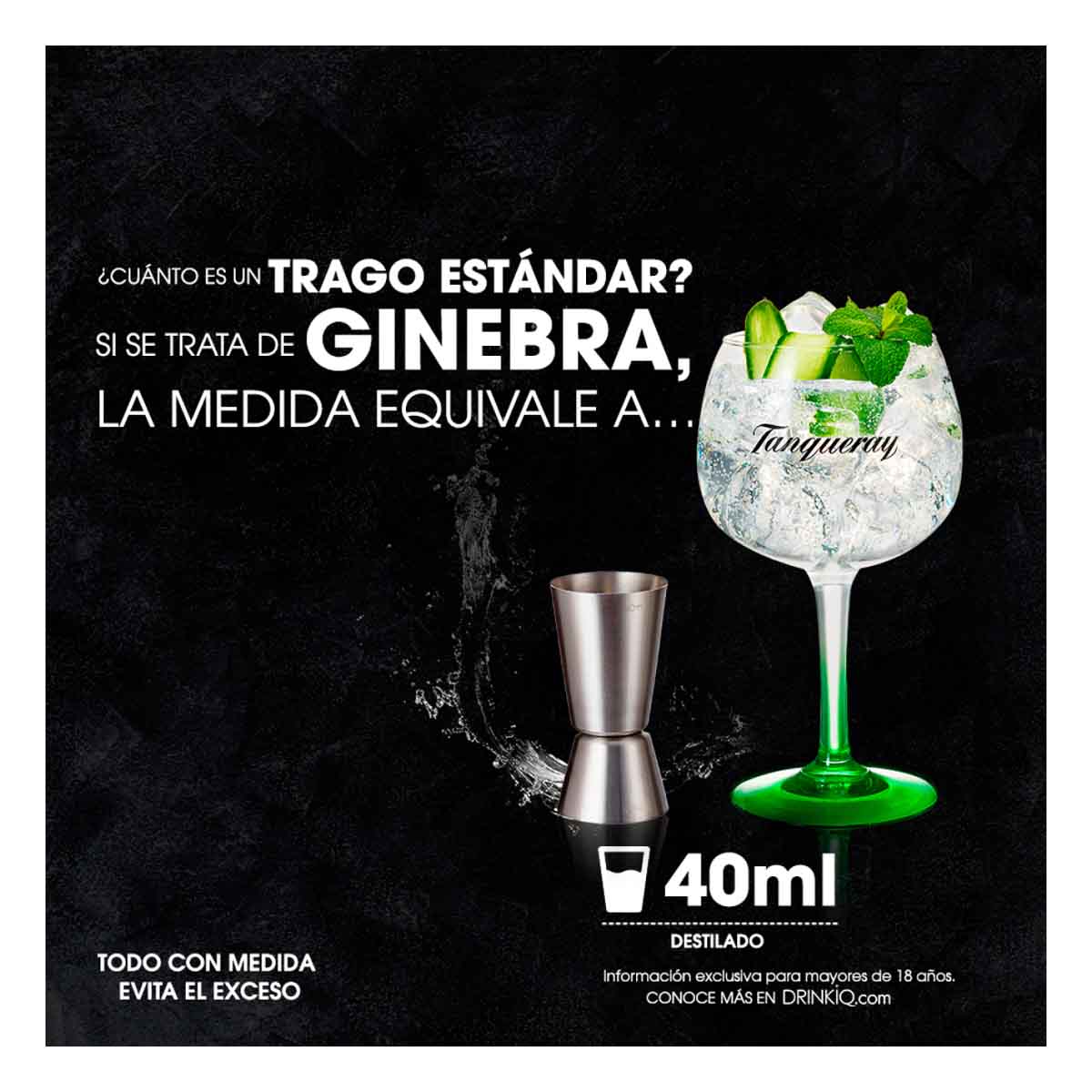 Ginebra Tanqueray London Dry Herbal 750 ml